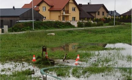 „Vilniaus vandenys“ likvidavo Pavilnyje aptiktą nuotekų avariją