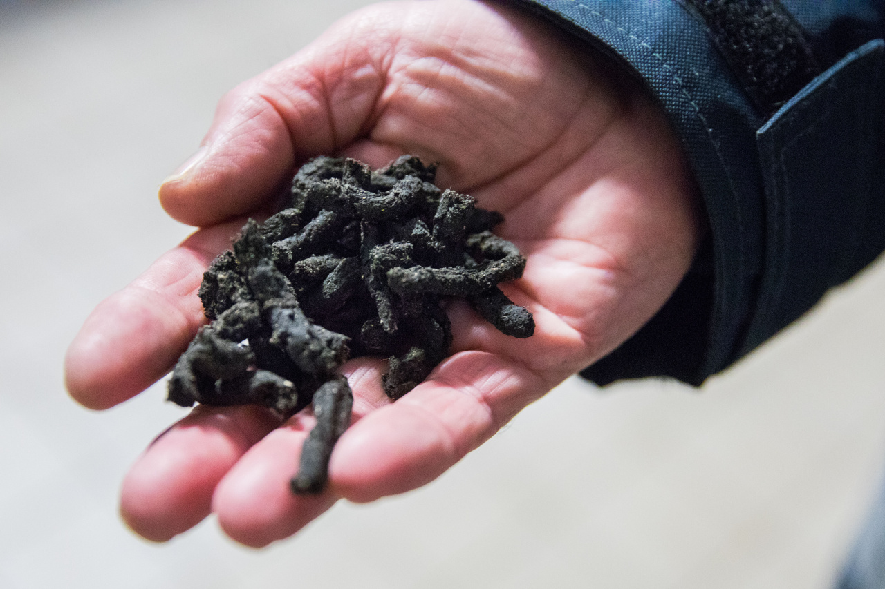 „Vilniaus vandenys“ perdirbtą nuotekų dumblą naudoja miškų tręšimui
