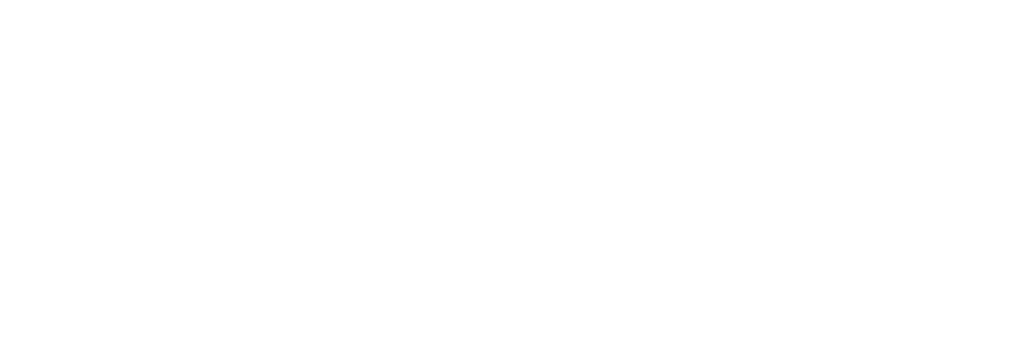 VASA logo