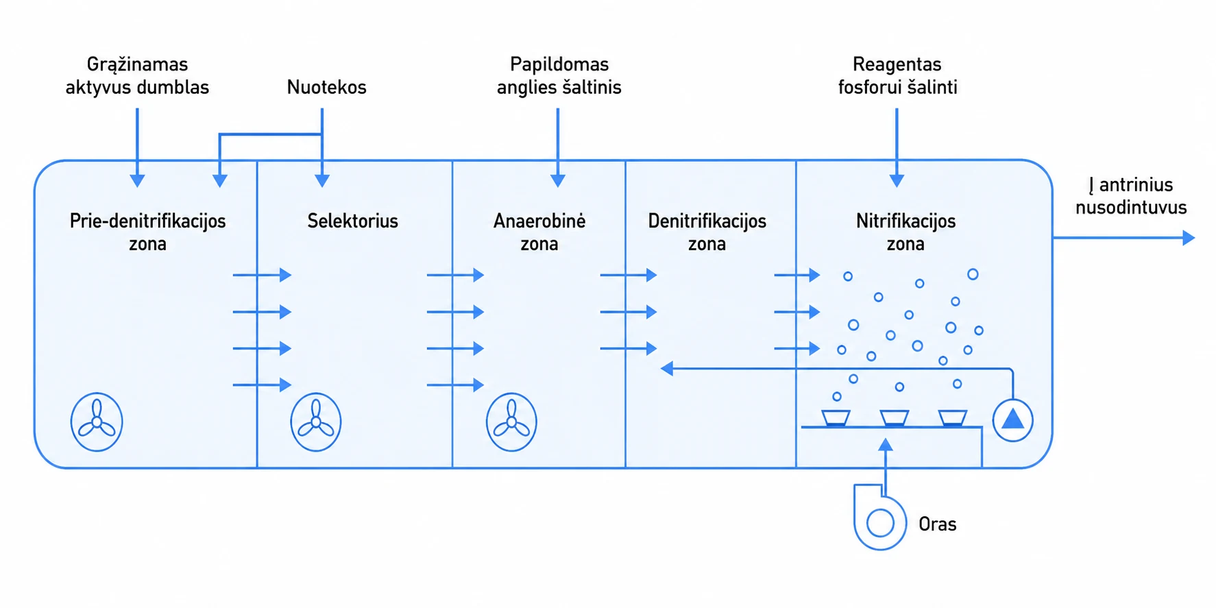 Biologinio nuotekų valymo bioreaktorių schema: prie-denitrifikacijos, selektoriaus, anaerobinė, denitrifikacijos ir nitrifikacijos zonos
